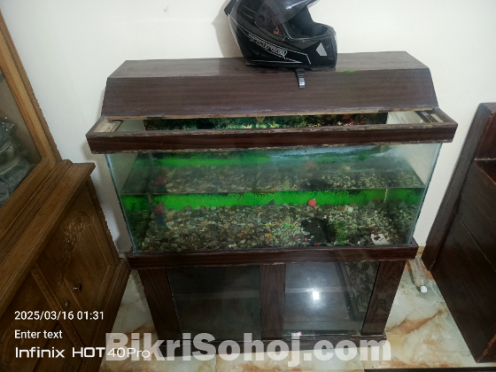 Aquarium